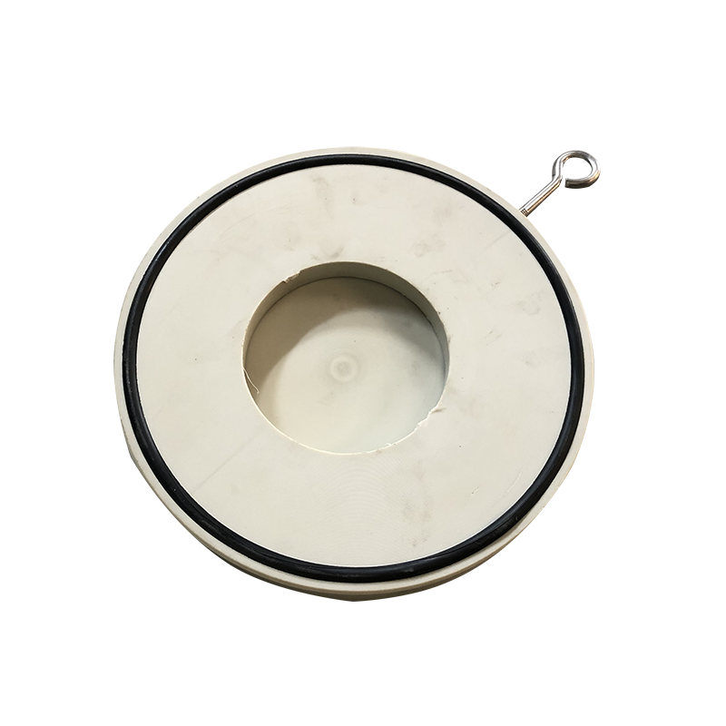 pph闆式(shì)止回(huí)閥